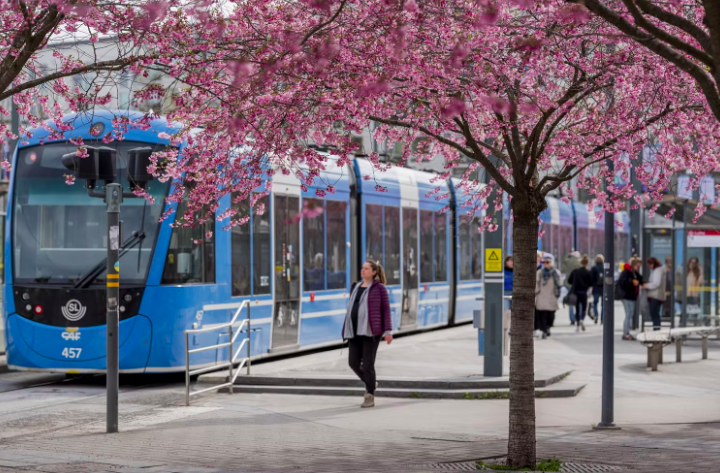 World Public Transport Day